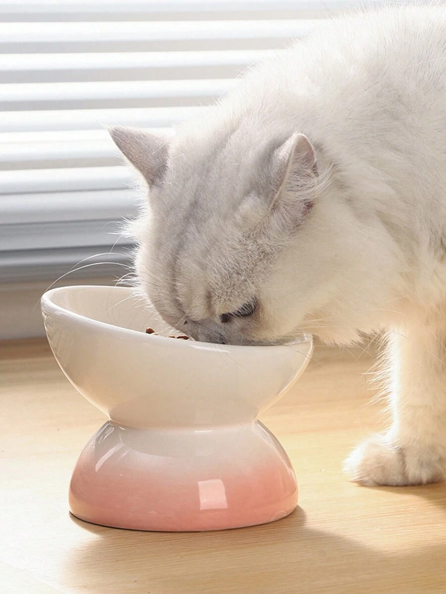 1入瓷制貓碗，傾斜貓食碗，貓用飲水碗，隨機顏色 - 彩色 - 查看 1