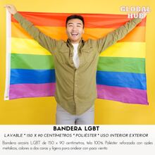 Bandera De Rayas Arcoiris Lgbt, PRIDE MONTH Lesbiana Gay Bisexual Bandera Decorativa De Tela No Tejida Colorida Para Fiesta. - Multicolor - Ver 2