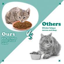 Conjunto de 4/8 bowls de comida para gatos de 6 pulgadas, poco profundo y adecuado para gatitos y gatos con patas cortas con forma redonda ancha, hecho de paja (color claro) - Multicolor - Ver 4