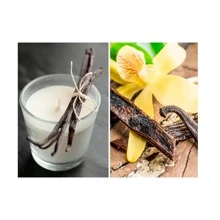 Soap Scents - Transparent - View 2