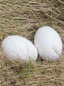 6 Pcs Wooden Fake Nest Eggs Easter Eggs For Crafts Home Decor Pating Get Hens To Lay Eggs - Dusty Blue - View 1