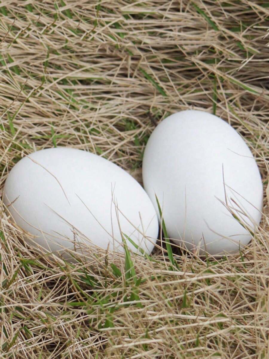 6 Pcs Wooden Fake Nest Eggs Easter Eggs For Crafts Home Decor Pating Get Hens To Lay Eggs - Dusty Blue - View 1