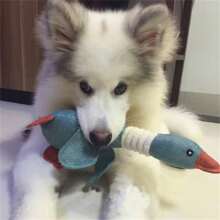Factory Direct Goose Sound Dog Lover And Dog Mom Love Toy, Bite-Resistant Plush For Chewing, Teething & Dental Cleaning, Educat Lover And Cat Mom Loveional & Entertaining