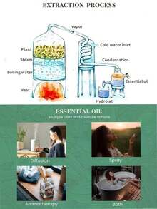 10ml Aromatherapy Essential Oil Yoga Oil Plant Essential Oil For Humidifier Diffuser Fruit Flower Aroma Fragrance Oil Jasmine Lavender Rose Orange, Living Room And Bathroom Deodorization - 10ml - View 5