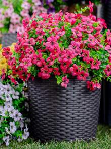 4 piezas de decoración artificial de primavera/verano para exteriores, material tipo seda, margarita morada, eucalipto, resistente a los rayos UV, adecuado para decoración de hogar, patio, porche, ventana y jardín (rosa rojo), regalo de cumpleaños, graduación, Navidad, Halloween, decoración floral de temporada de otoño, Acción de Gracias - Rosa Fucsia - Ver 4