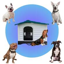 Casa para Perro Raza Mediano Q Perron con doble entrada - Azul - Ver 5