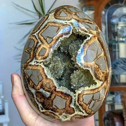 1入優質天然龜背石龍蛋雕像- 靜謐裝飾，平衡能量，減少壓力- 給父母，DIY項目，節日，畢業和復活節的完美禮物- 閃閃發光的水晶工藝