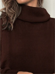Women Sweaters - Coffee Brown - View 3