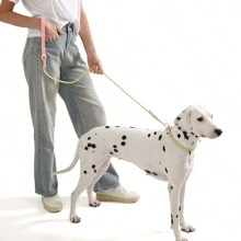 1pc Handmade Adjustable Macaron Colored Reflective Pet Collar And Leash Set, Personalized Round Rope PVC Material Spliced Dog Collar Pet Supplies - Multicolor - View 6