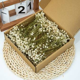 1 ask torkade Babysbreath-blommor, naturliga Gypsophila-grenar för festbordsvaser, trädgårdskontorsbröllopshemgåvor och gör-det-själv kransarrangemang