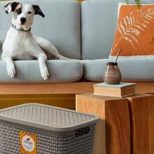 Kit 2 Baskets, 4 Liters Rattan Organizer Box With Lid, Home Organizer Basket - Màu be - Xem 3