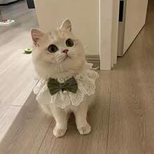 1pc Cat & Dog & Pet Bowtie Collar