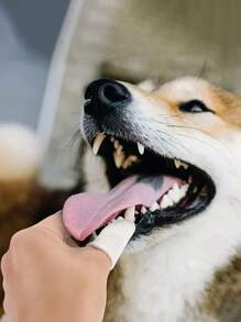 4入組狗狗用指套牙刷，360度柔軟狗狗指套牙刷，耐用可水洗寵物口腔清潔工具