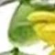 yellow green