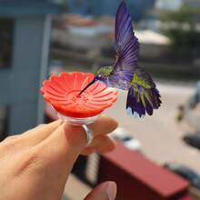 1pc Hummingbird Feeder Ring Random Color Window Suction Cup Style Hummingbird Water Feeder - Multicolor - View 6