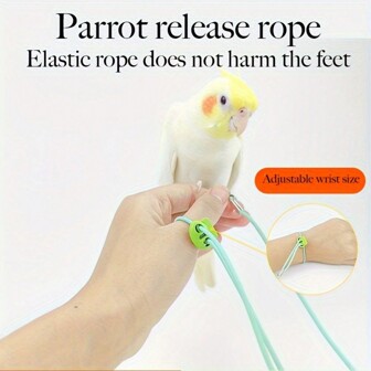 尼龍鸚鵡釋放繩帶拉繩扣，彈性腳鐐牽繩用於訓練與散步鳥類，超輕且耐用