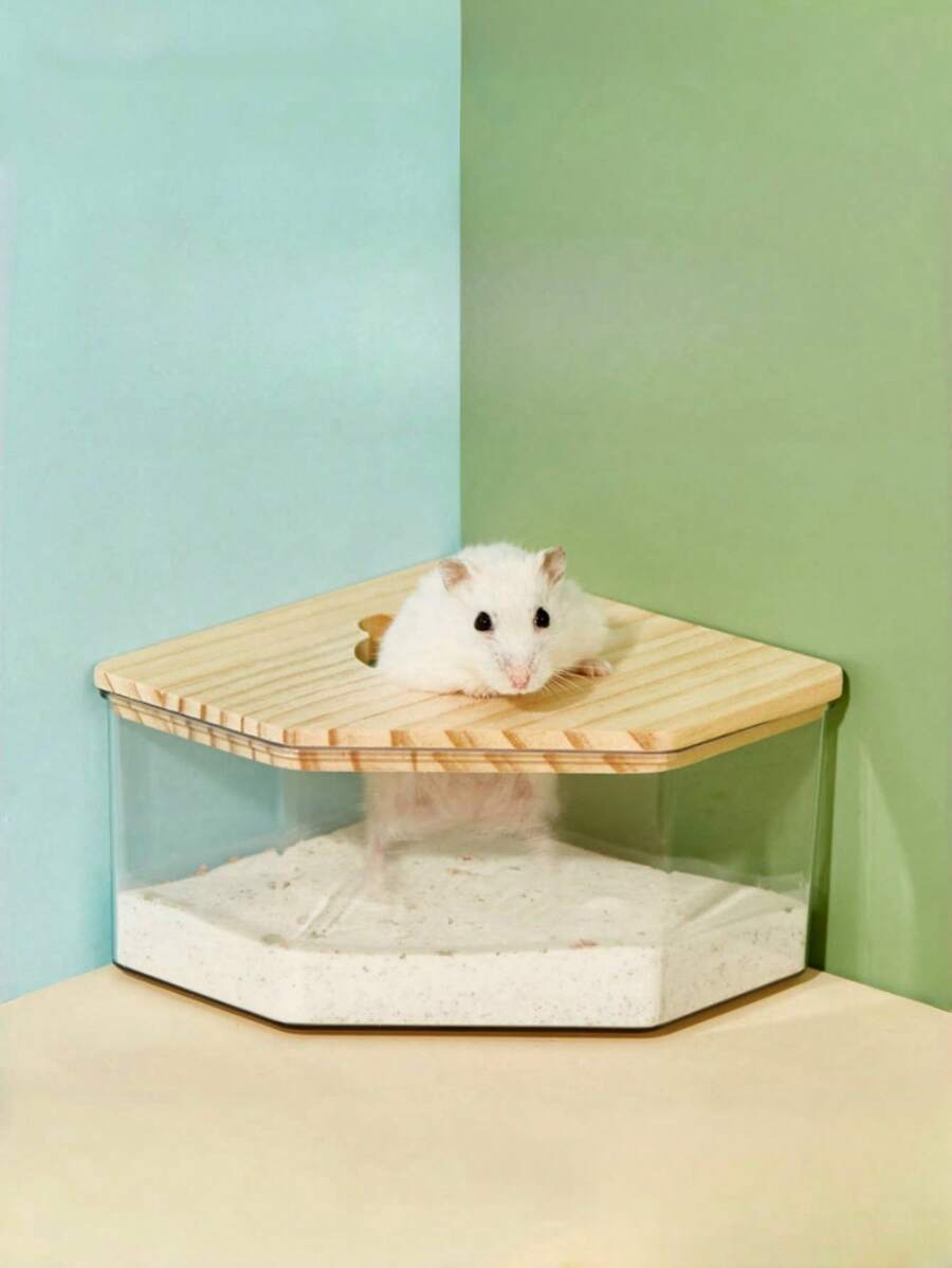 1入組透明倉鼠浴缸 - 無色 - 查看 1