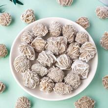 50 Gam/túi Hoa Hồng Sa Mạc Đá Selenite Thạch Anh Tự NhiênCrystal Reiki Chữa Bệnh Đá Quý Khoáng Mẫu Vật Adenium Obesum Trang Trí Nhà Quà Tặng - adenium obesum - Xem 8