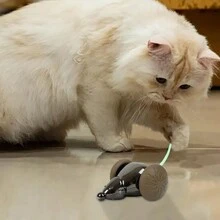 Robotic Mouse Cat Toy Interactive Smart Control Rechargeable Realistic Mouse Cat Toy For Indoor Kitten Cats Training Pet Supply - Multicolor - View 7