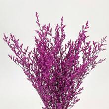 1/2 Buquê de Flores Naturais Preservadas - Arte para Arranjos Florais, Artesanato DIY, Decoração de Casamento, Decoração de Casa, Vaso para Mesa de Festa, Presentes para Escritório, Casamento e Casa, Coroa Floral DIY