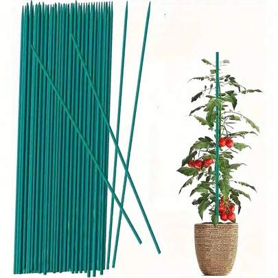 10入組竹植物支柱，植物支撐棍，花卉植物支撐木製，室內園藝植物支撐，木質標誌花園棍