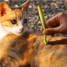 Juego de 3 herramientas efectivas para remover garrapatas y pulgas para perros - Herramienta de plástico para remover garrapatas que facilita la extracción de garrapatas y pulgas - Mantenga a su mascota segura y saludable
