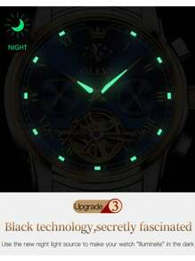 OLEVS頂級奢華男士不銹鋼發光休閒時尚3Bar防水戶外運動機械手錶6617 - 藍色 - 查看 6