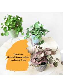 1 cây mọng nước bằng cao su mềm, cây tiền Trung Quốc mô phỏng & lá cọ đỏ, lá nhân tạo cây tiền Trung Quốc, không bao gồm chậu, cây xanh trang trí nhà cửa, trang trí bàn làm việc, ngày lễ tình nhân, quà tặng sinh nhật tốt nghiệp trở lại trường trang trí phòng học đồ dùng học tập - cây đồng - Xem 3