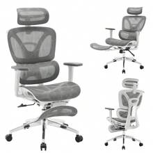 Ergonomic Office Chair, High Back Ergonomic Desk Chair With Adjustable Lumbar Support