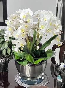 3 peças/Conjunto de Flores de Orquídea Borboleta Artificial, 60cm de Altura, 7 Flores Grandes, Flores de PU Toque Realista, Ideal para Buquês de Casamento DIY, Centros de Mesa, Adequado para Casamento, Casa, Escritório, Festa, Hotel, Quintal, Restaurante, Terraço, Decoração, Dia dos Namorados, Presente