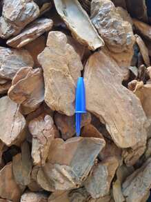 1kg Casca de Pinus Triturado Para Proteção Decoração Forração Terrario - Marrom Claro - Visão 3