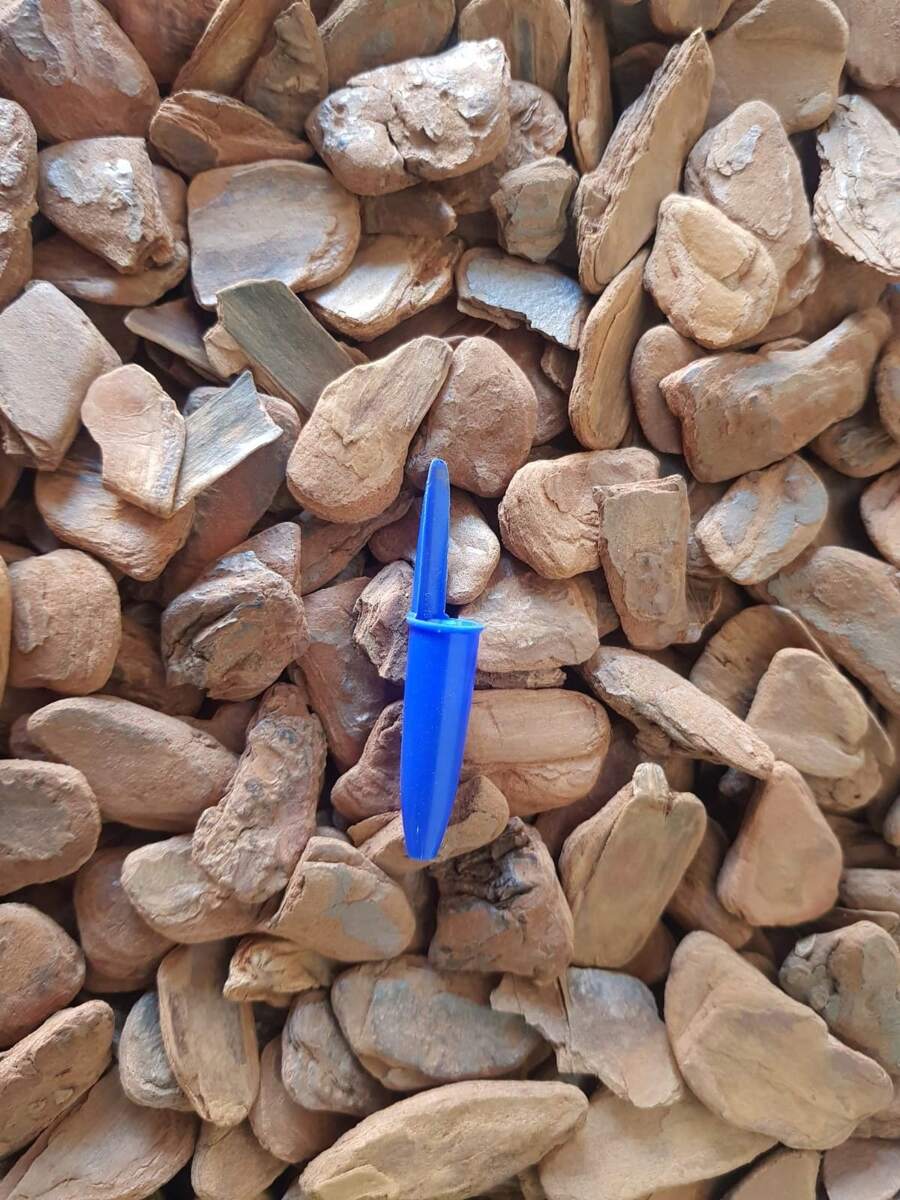 1kg Casca de Pinus Triturado Para Proteção Decoração Forração Terrario - Marrom Claro - Visão 1