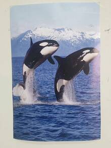 逗趣海洋主題透視畫-藍色海洋主題，1對跳躍的鯨魚，適用於客廳、臥室、辦公室，是理想的禮物 - 藍白色 - 查看 6