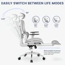 Ergonomic Office Chair, High Back Ergonomic Desk Chair With Adjustable Lumbar Support