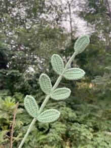 1 件，钩针编织叶子装饰，手工钩针编织叶，非常适合情人节春夏家居装饰，创意设计的人造仿真植物枝条，情人节，礼物礼物生日毕业