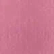 PINK BLOSSOM