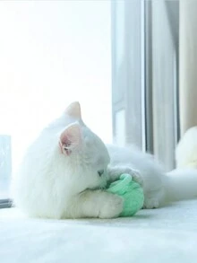 1入組/3入組隨機顏色貓互動玩具，彩虹毛線鈴鐺球，具有磨牙咬不壞的特點，適用於貓娛樂