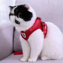 1 Set Pet Dog Summer Chest And Back Strap Harness With Reflective Dog Leash, Small Dog Harness Vest Style, Breathable And Comfortable For Both Cats And Dogs - Multicolor - View 4