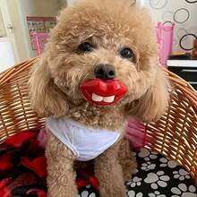 1pc Prank Lips Big Teeth & Buck Teeth Pacifier Toy For Dogs - Fun Pacific Shape Interactive Red Lip Toy For Playtime And Dental Health, Durable Material, Suitable For Small Breeds (Multiple Color Combinations, Random Color Delivery) - Multicolor - View 2