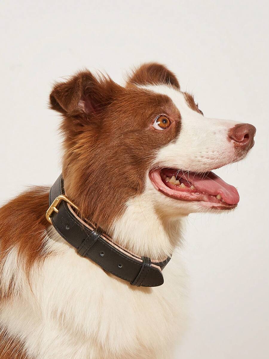 牛皮革，真皮狗項圈經典柔軟襯墊皮革項圈時尚透氣狗項圈適用於小型中型大型狗 - 棕色 - 查看 1