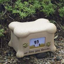 樹脂寵物骨灰盒，狗狗貓咪紀念盒 - 彩色 - 查看 5