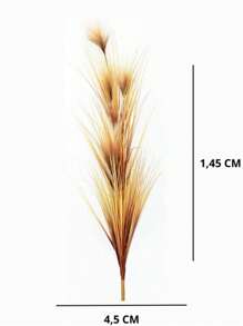 Planta Permanente Capim Pampas Palha