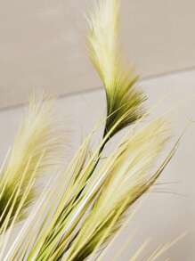 Planta Permanente Capim Pampas Palha