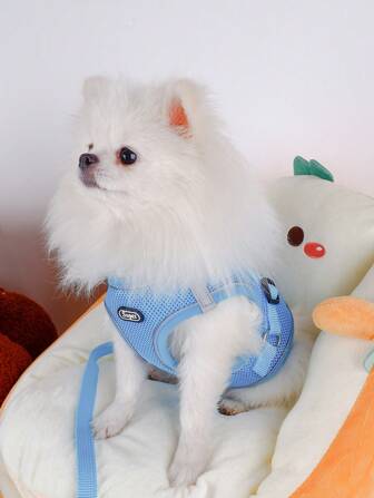 Supet 反光易穿寵物胸帶套裝，適用於小型犬，包括皮帶，適用於室內和室外