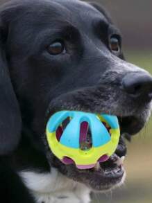 BOLA GUIZO Brinquedo de Plástico para Cachorro Gato Pet Bolinha Interativa 7cm