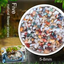 自然雨花石魚缸底砂水族箱造景小石頭裝飾彩色石頭五花石龜缸草魚缸1斤 - 彩色 - 查看 5