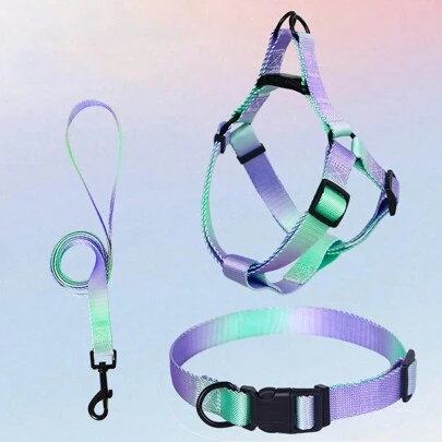 1 Set Gradient Pet Chest Back Strap & Leash For Outdoor Walking, Anti-Escape Dog Collar, Suitable For Medium & Large Dogs,  3pcs