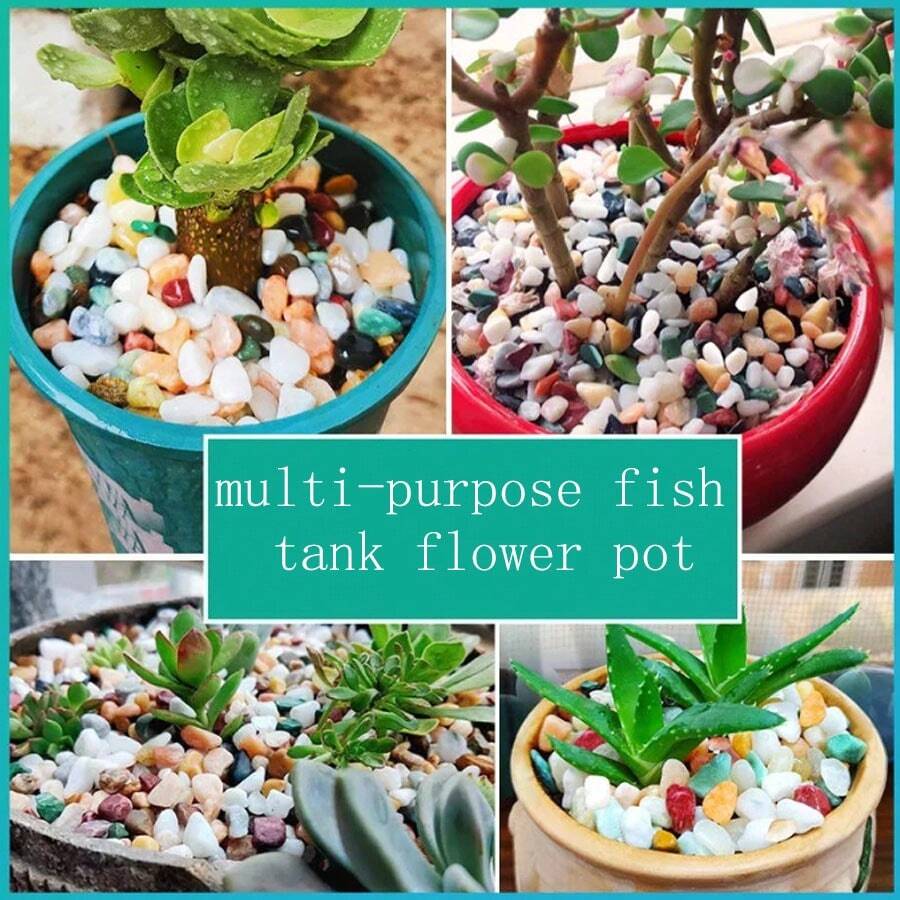 自然雨花石魚缸底砂水族箱造景小石頭裝飾彩色石頭五花石龜缸草魚缸1斤 - 彩色 - 查看 1