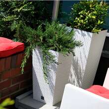 Prosperplast Flower Pots & Planters - Dark Grey - View 4