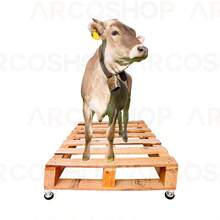 Bascula Ganadera Portátil 3,000kg Ajustable A Tarima O Jaula - Plateado - Ver 4